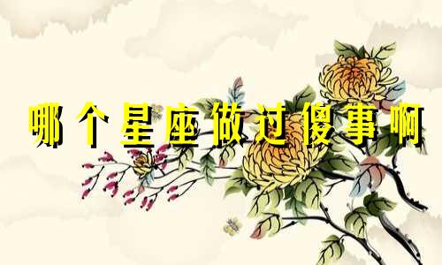 哪个星座做过傻事啊