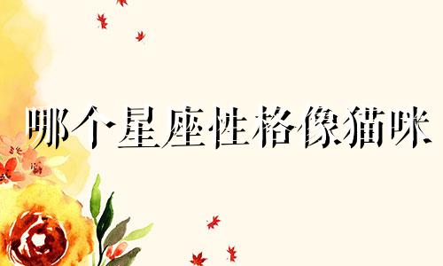 哪个星座性格像猫咪