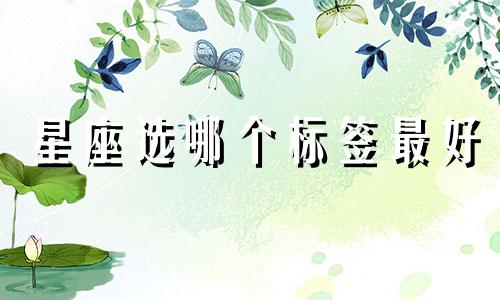 星座选哪个标签最好