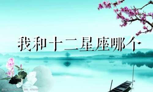 我和十二星座哪个