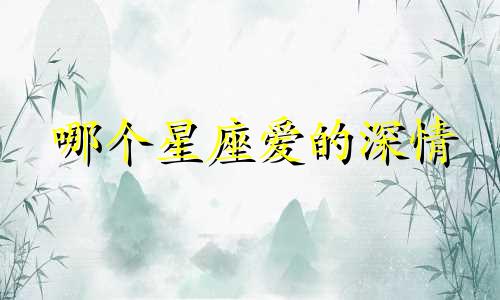 哪个星座爱的深情