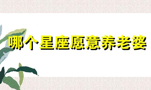 哪个星座愿意养老婆