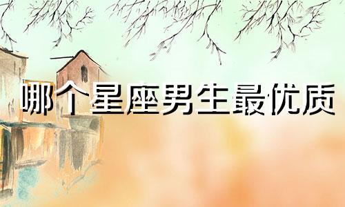 哪个星座男生最优质