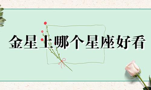 金星上哪个星座好看
