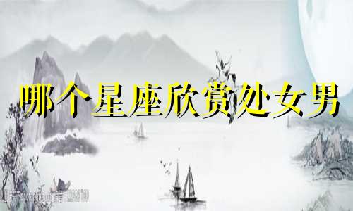哪个星座欣赏处女男