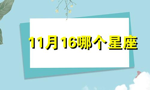 11月16哪个星座