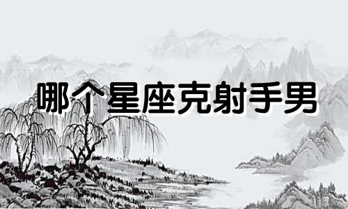 哪个星座克射手男