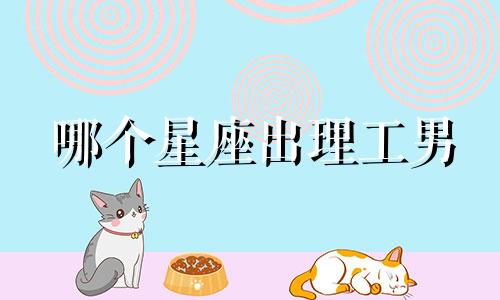 哪个星座出理工男