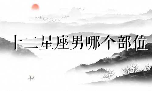 十二星座男哪个部位