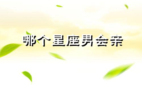 哪个星座男会亲