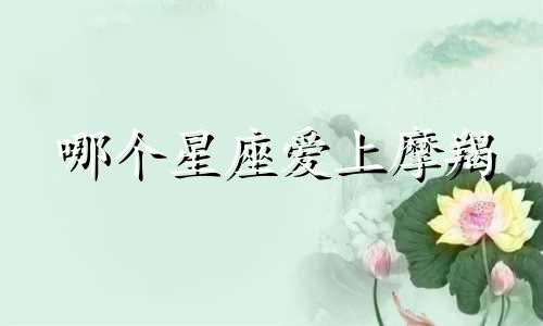 哪个星座爱上摩羯