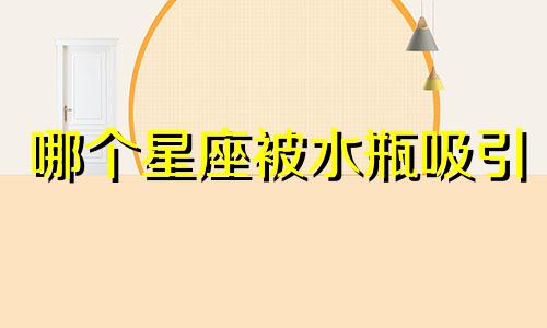 哪个星座被水瓶吸引