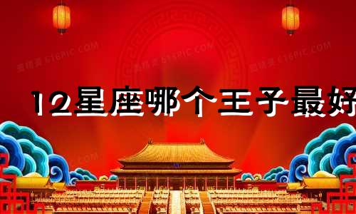 12星座哪个王子最好