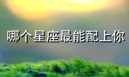 哪个星座最能配上你