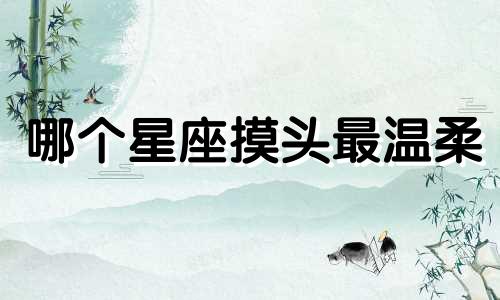 哪个星座摸头最温柔