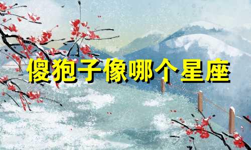 傻狍子像哪个星座