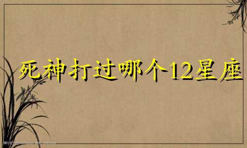 死神打过哪个12星座