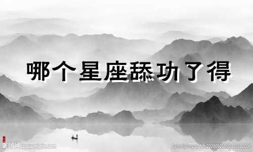 哪个星座舔功了得