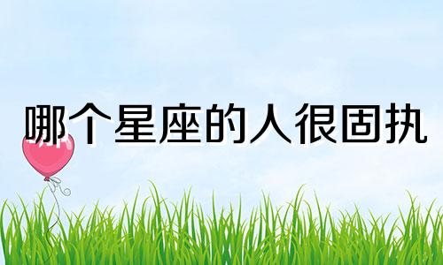哪个星座的人很固执