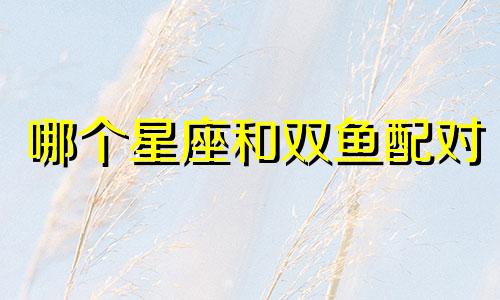 哪个星座和双鱼配对