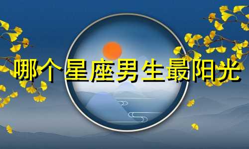 哪个星座男生最阳光