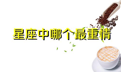 星座中哪个最重情