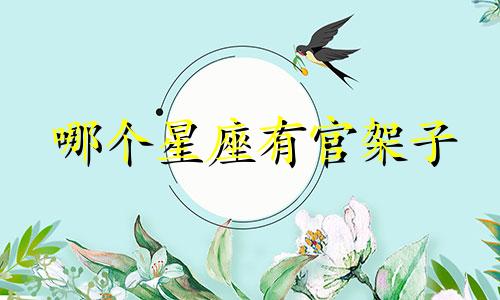 哪个星座有官架子