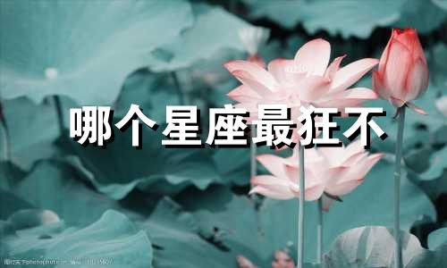 哪个星座最狂不