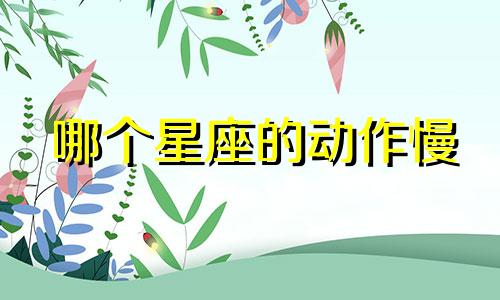 哪个星座的动作慢