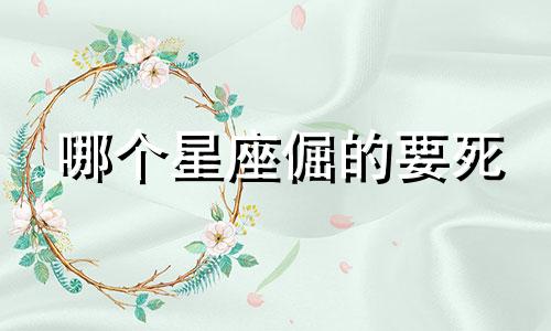 哪个星座倔的要死