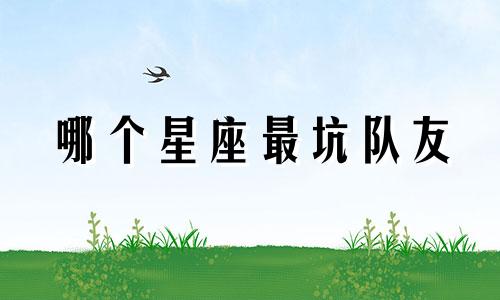 哪个星座最坑队友