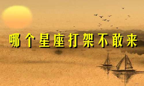 哪个星座打架不敢来