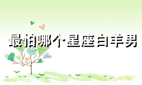 最怕哪个星座白羊男