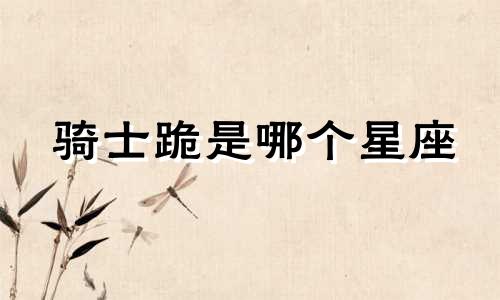 骑士跪是哪个星座