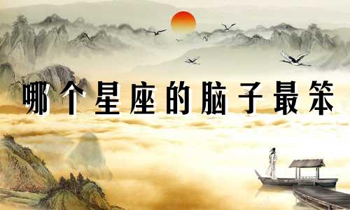 哪个星座的脑子最笨