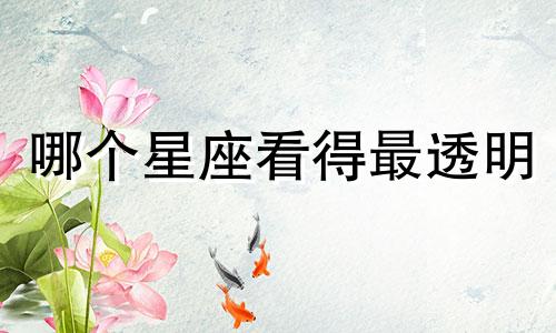 哪个星座看得最透明