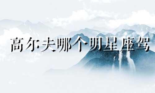 高尔夫哪个明星座驾