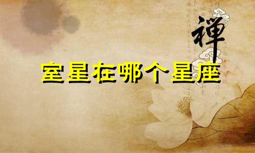 室星在哪个星座