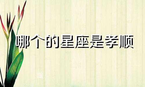 哪个的星座是孝顺