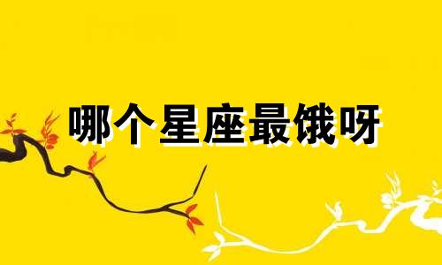 哪个星座最饿呀