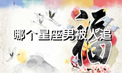 哪个星座男被人追
