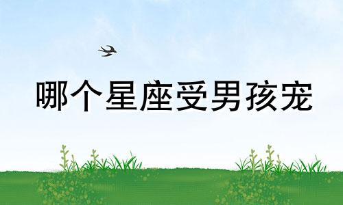 哪个星座受男孩宠