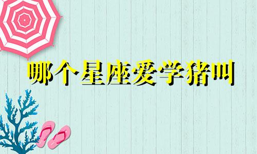 哪个星座爱学猪叫