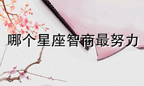 哪个星座智商最努力