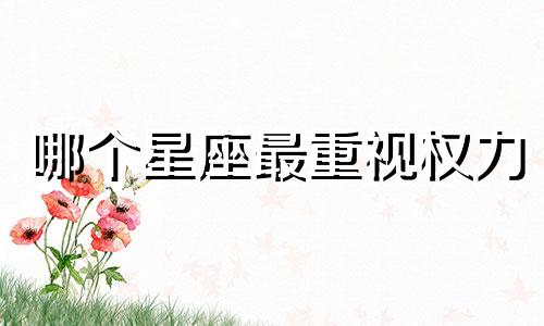 哪个星座最重视权力