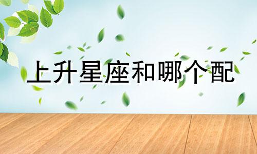 上升星座和哪个配