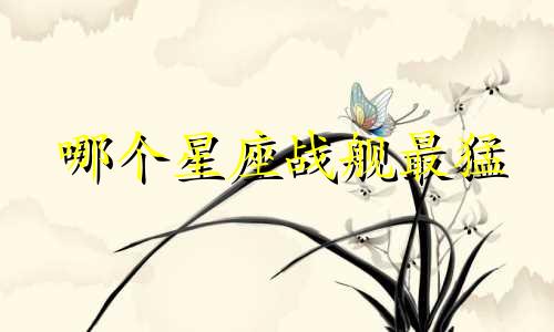 哪个星座战舰最猛