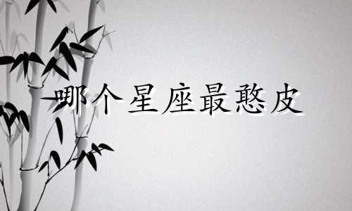 哪个星座最憨皮