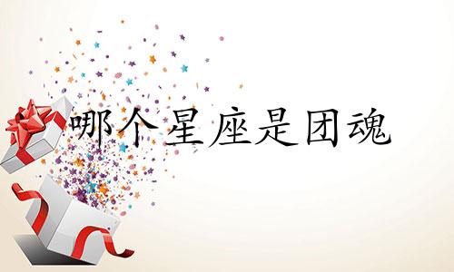 哪个星座是团魂