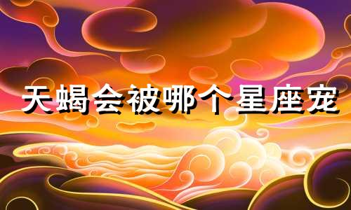 天蝎会被哪个星座宠